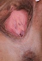 ATK Exotics: Aubree Ice (Aubree Ice in asians)