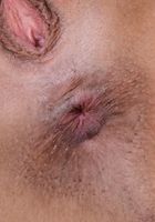 ATK Exotics: Aubree Ice (Aubree Ice in asians)