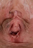 ATK Exotics: Audrey Royal (Audrey Royal in dime pieces)