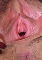 Ava Alba from ATK Petites