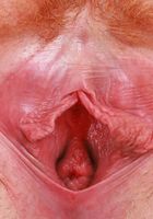 ATK Galleria: Ava Davis (Ava exposes her warm pink pleasure hole)