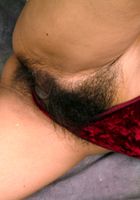 ATK Exotics: Avery (Avery in amateur)