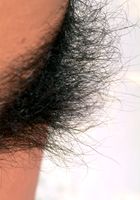 ATK Exotics: Avery (Avery in amateur)