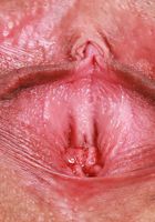 ATK Exotics: Naudi Nala (Naudi Nala Stretching)