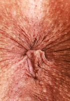 ATK Exotics: Naudi Nala (Naudi Nala Outdoor Stripping)