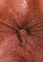 ATK Exotics: Naudi Nala (Naudi Nala Spreading)