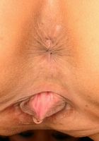 ATK Exotics: Ayane (Ayane in asians)