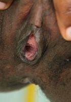 ATK Petites: Babydoll (Black model babydoll pees)