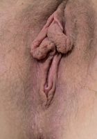 ATK Natural & Hairy: Barbary Rose (Barbary Rose in young and hairy)