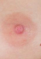 ATK Archives: Bella (Bella is lovely.)