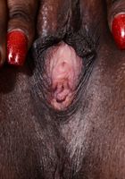 ATK Exotics: Bella Dahl (Bella Dahl's ass can be contained by yoga pants.)