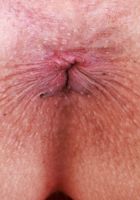 ATK Petites: Bella Blaze (Bella Blaze Tight Miniskirt Tease)