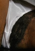 ATK Exotics: bette (bette in black women)