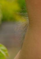 ATK Archives: Betty (Hairy Betty picks some fruit)