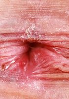 Beverly Hillson from ATK Petites