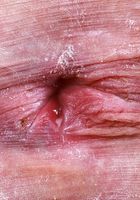 ATK Galleria: Beverly Hillson (Beverly Hillson gets down on the floor and gets ready for sex)