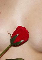 ATK Archives: Bianca (Bianca in toys)