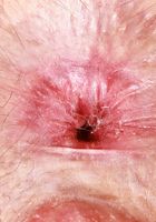 Big Eyes from ATK Natural & Hairy