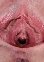 ATK Galleria: Blake Valentine (Blake Valentine in uniforms)