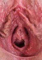 ATK Galleria: Blake Valentine (Blake Valentine in lingerie)