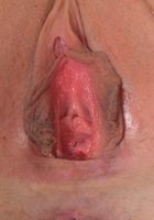 ATK Galleria: Bonnie Kinz (Bonnie spreads her tight pink pussy)