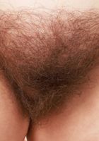 ATK Natural & Hairy: Bratty Wolfie (Bratty Wolfie Hairy Spreads)