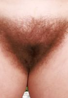 Bratty Wolfie from ATK Natural & Hairy