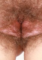 ATK Natural & Hairy: Bratty Wolfie (Bratty Wolfie in young and hairy)
