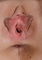 ATK Galleria: Bre Blu (Bre Blu gets naughty stripping spreading her coed pussy)