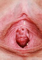 ATK Petites: Breezy Bri (Breezy Bri Outdoor Dress Stripping)