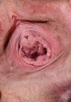 ATK Natural & Hairy: Brielle Woods (Brielle Woods peels off her sports bra for you)