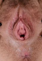 ATK Galleria: Brielle Woods (Brielle Woods Spreads)