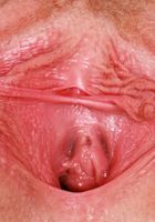 ATK Galleria: Britt Blair (Britt Blair Outdoor Nudes)