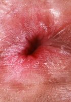 ATK Petites: Brianna Arson (Pink is Brianna's favorite color)