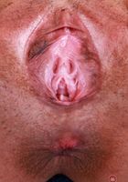 ATK Exotics: Brianna Arson (Brianna's dress isn't concealing very much)