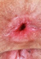 ATK Exotics: Brianna Arson (How sexy is Brianna Arson in red lingerie?)