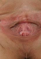 ATK Exotics: Brooke (Brooke in toys)