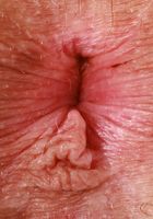 ATK Galleria: Bunny Skies (Bunny Skies shows off her hot outfit)