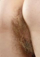 ATK Archives: Calyx (Calyx in upskirts and panties)