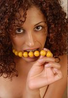 ATK Exotics: Candice (Candice in latinas)