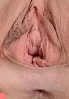 ATK Premium: Carolina Sweets (Carolina Sweets in lingerie)