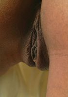 ATK Exotics: Cashmere (Cashmere in black women)