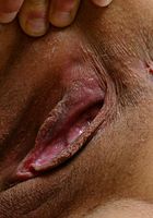 ATK Exotics: Cashmere (Cashmere in pregnant)