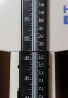 Cassie Laine from ATK Exotics