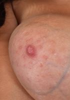 ATK Exotics: Cassidy Banks (Cassidy Banks is a knock out here!)