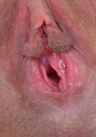 ATK Exotics: Cassidy Banks (Cassidy Banks lets her huge tits hang out)