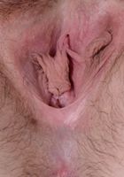 ATK Natural & Hairy: Cece Lachey (Cece Lachey in young and hairy)