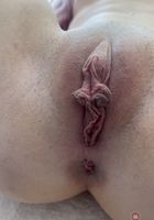 ATK Petites: Cecelia Taylor (Cecelia Taylor Farm Date BTS)