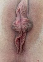 ATK Galleria: Cecelia Taylor (Cecelia Taylor Farm Date BTS)