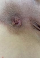 ATK Petites: Cecelia Taylor (Cecelia Taylor Sexy Stripping)